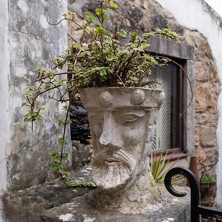 Casa Mourisca - Albino D'obidos *